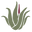 Aloe Gear logo